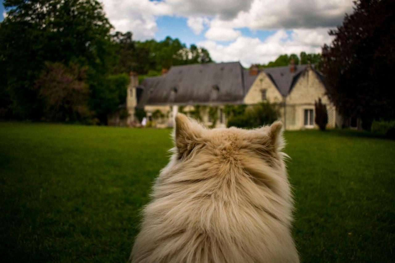 Bed & Breakfast - La Closerie De La Fuye Ballan-Miré Zewnętrze zdjęcie